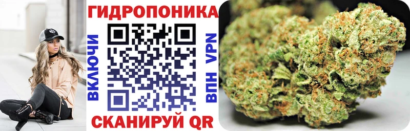 KRAKEN рабочий сайт  Весьегонск  Шишки марихуана сатива  где можно купить  